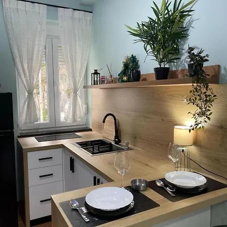 Apartment Franci's No3 *