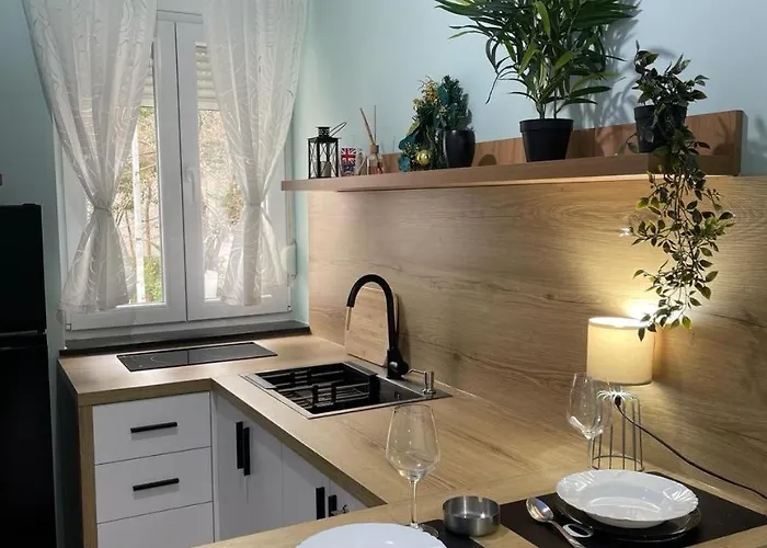 Apartment Franci's No3 *